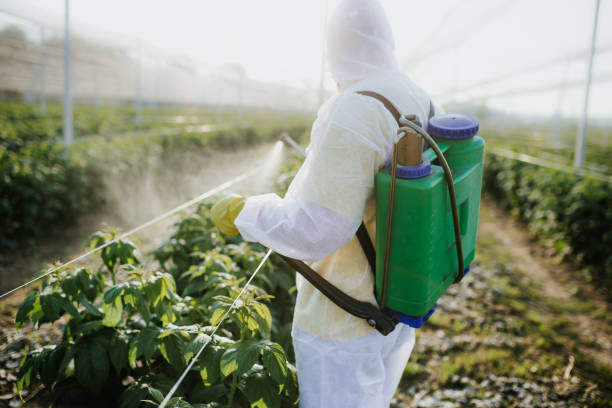 Best Wasp Removal Services  in Forked River, NJ